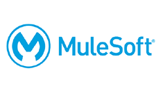 mulesoft partner