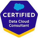 Salesforce Certified Data Cloud Consultant