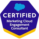 Salesforce Certified Marketing Cloud Engagement Consultant