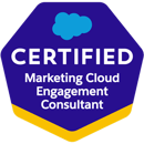 Salesforce Certified Marketing Cloud Engagement Consultant